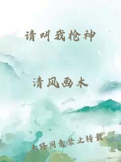 请叫我枪神