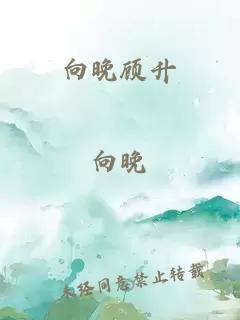 向晚顾升