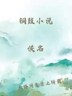 铜鼓小说