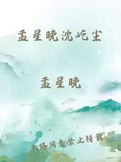 孟星晚沈屹尘