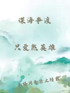 谍海争渡