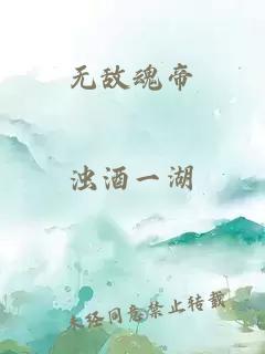 无敌魂帝