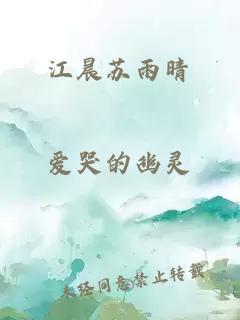 江晨苏雨晴