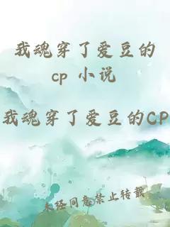 我魂穿了爱豆的cp 小说