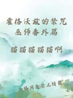 霍格沃兹的禁咒巫师番外篇