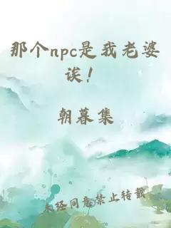 那个npc是我老婆诶！