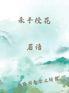 杀手校花