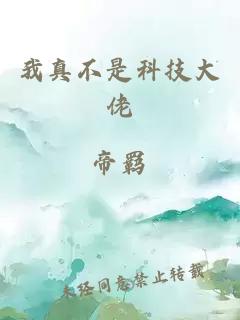 我真不是科技大佬