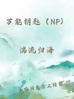 万能钥匙（NP）